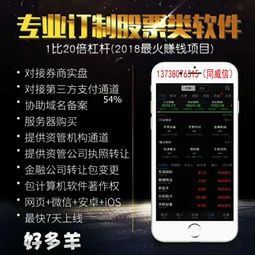 商品期权系统软件APP开发解读