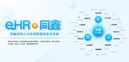 国内有能做泰国hr考勤系统的厂商吗